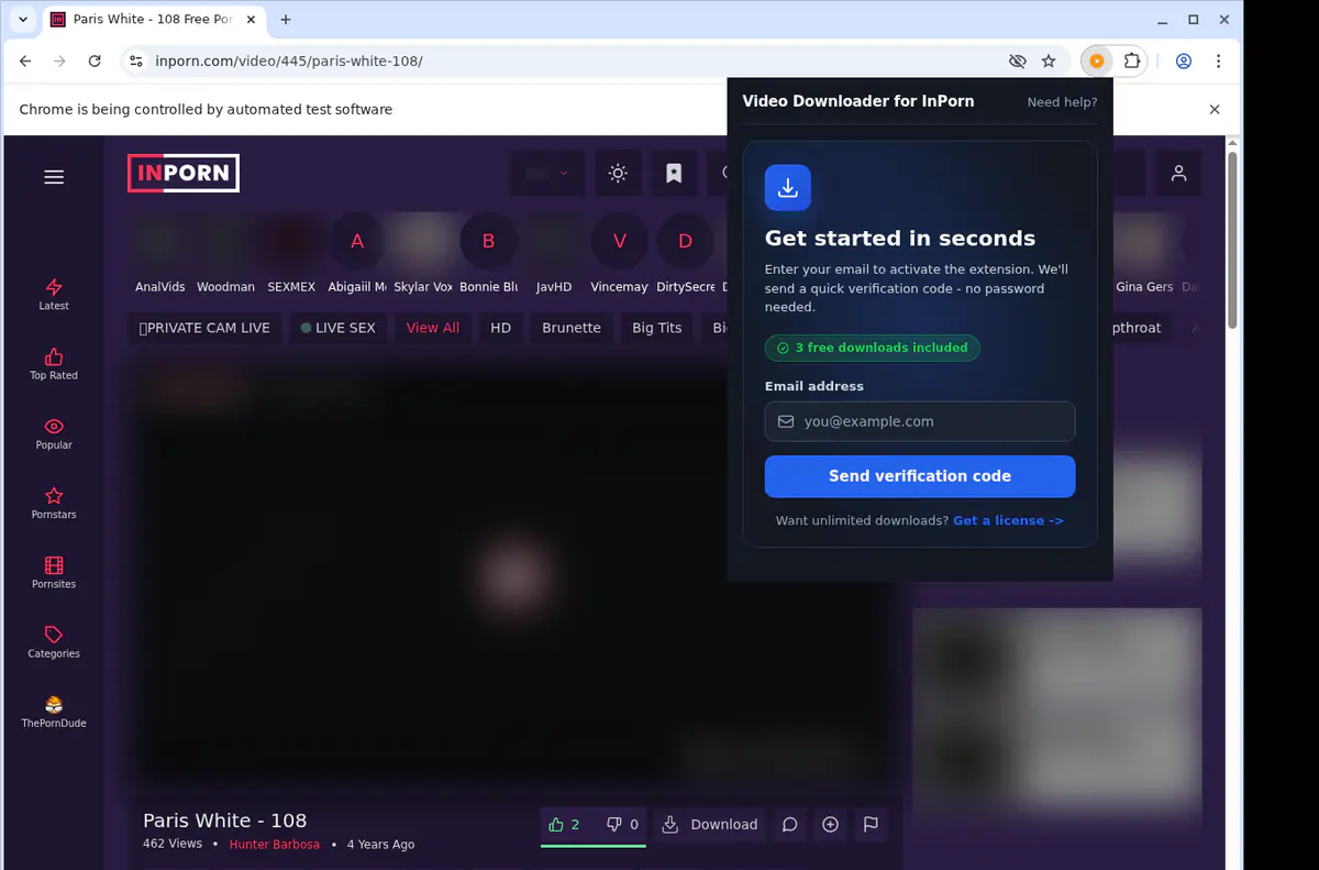 Inporn Video Downloader browser extension screenshot 5